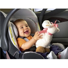 baby-safeplus_1 baby-safeplus_1